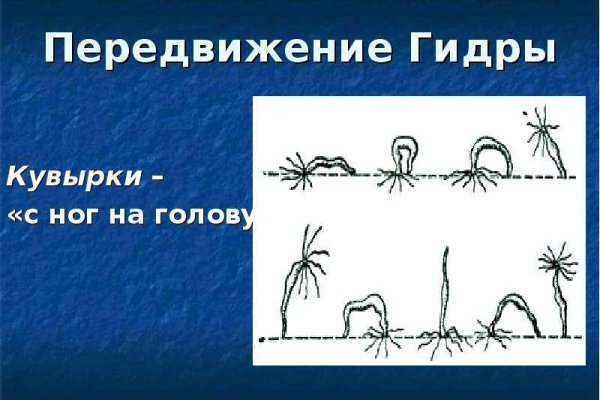 Кракен сайт 1kraken me