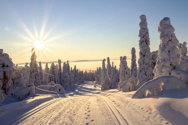 Кракен через впн