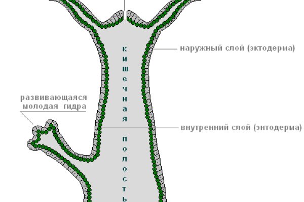 Как вернуть аккаунт на кракене